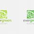Лого и фирменный стиль для Evergreen - дизайнер fordizkon
