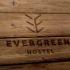 Лого и фирменный стиль для Evergreen - дизайнер degustyle