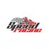 Логотип для Speed Racing - дизайнер La_persona