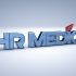 Лого и фирменный стиль для HR MEDIA - дизайнер Alphir