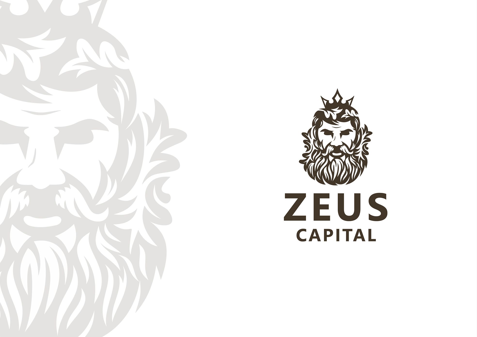 Логотип для ZEUS CAPITAL - дизайнер bodriq