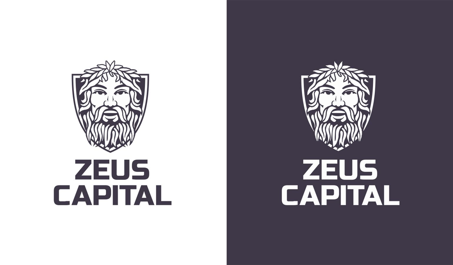 Логотип для ZEUS CAPITAL - дизайнер fordizkon