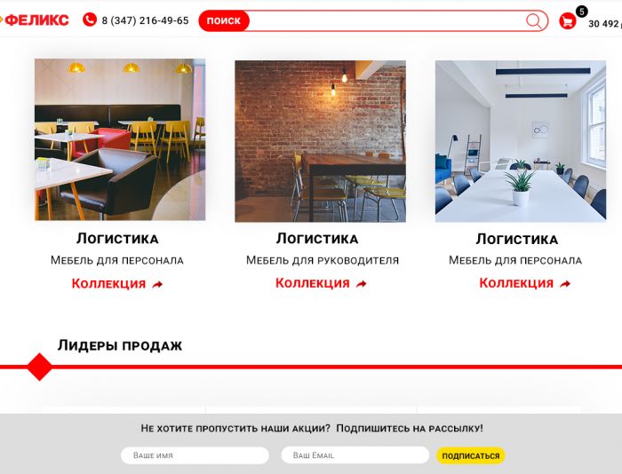 Веб-сайт для https://www.felix.ru - дизайнер Sleepless