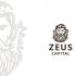 Логотип для ZEUS CAPITAL - дизайнер bodriq