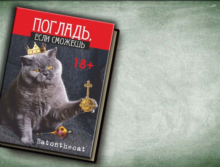 Обложка для Batonthecat - дизайнер YuliaV