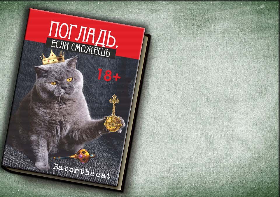 Обложка для Batonthecat - дизайнер YuliaV