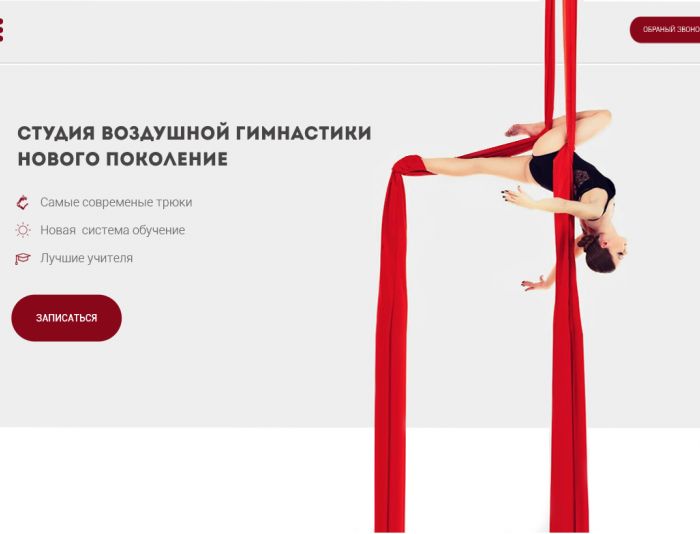 Веб-сайт для dancecircus.ru - дизайнер ins33