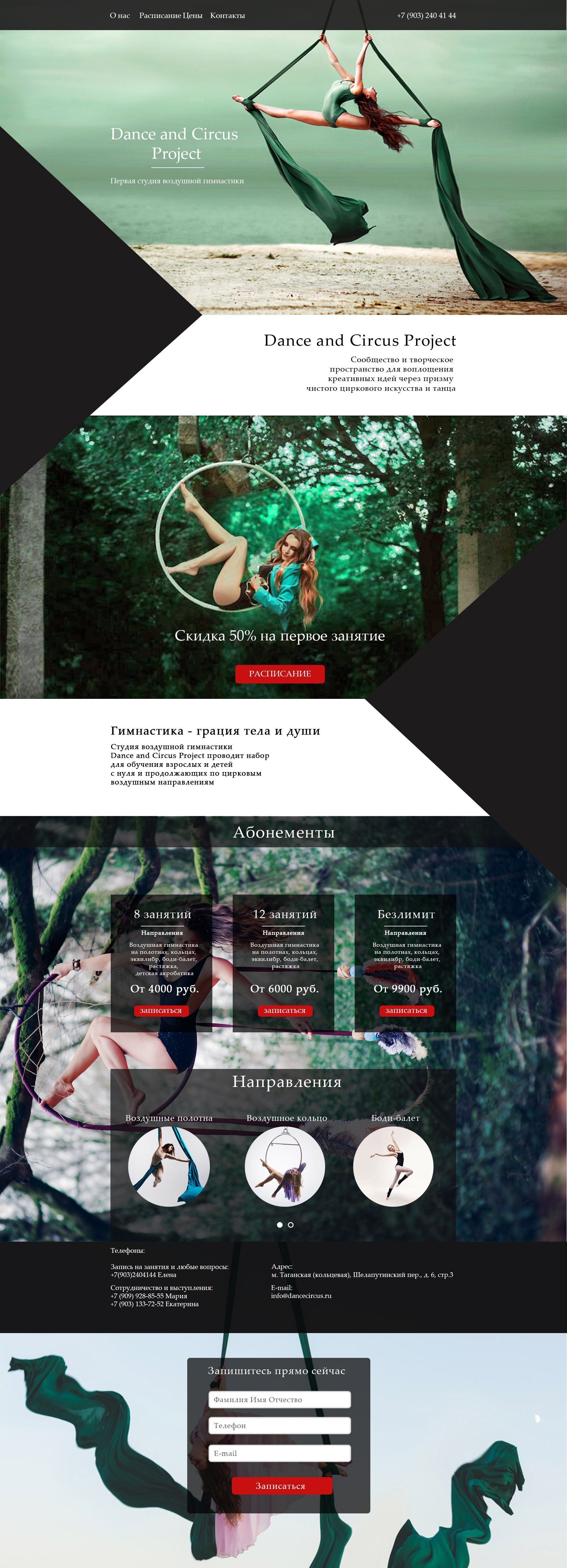 Веб-сайт для dancecircus.ru - дизайнер NastyaNay