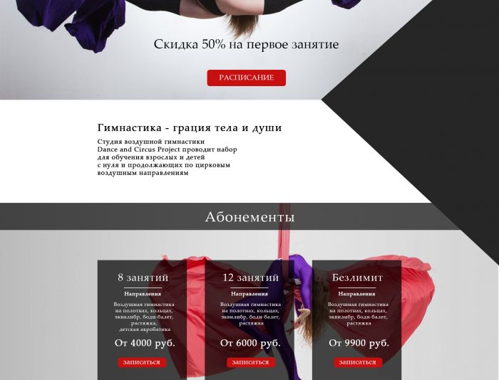 Веб-сайт для dancecircus.ru - дизайнер NastyaNay