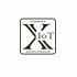 Логотип для X IoT - дизайнер ilim1973