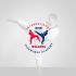 Логотип для International Taekwondo Academy - дизайнер squire