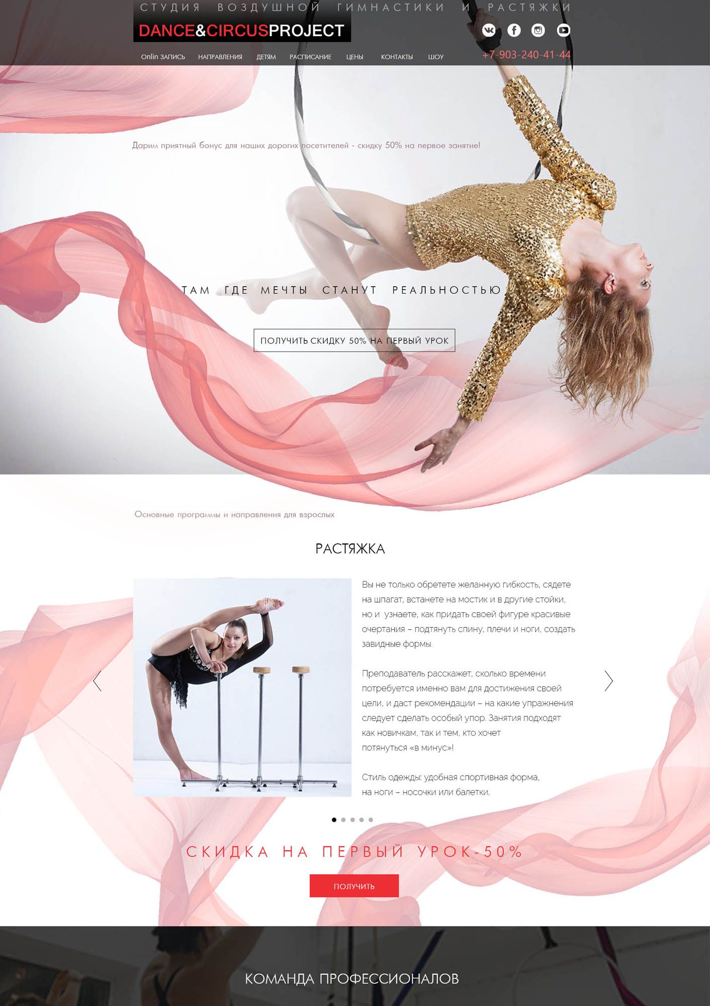 Веб-сайт для dancecircus.ru - дизайнер budmaria0940