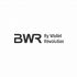 Логотип для By Wallet Revolution (BWR) - дизайнер rowan