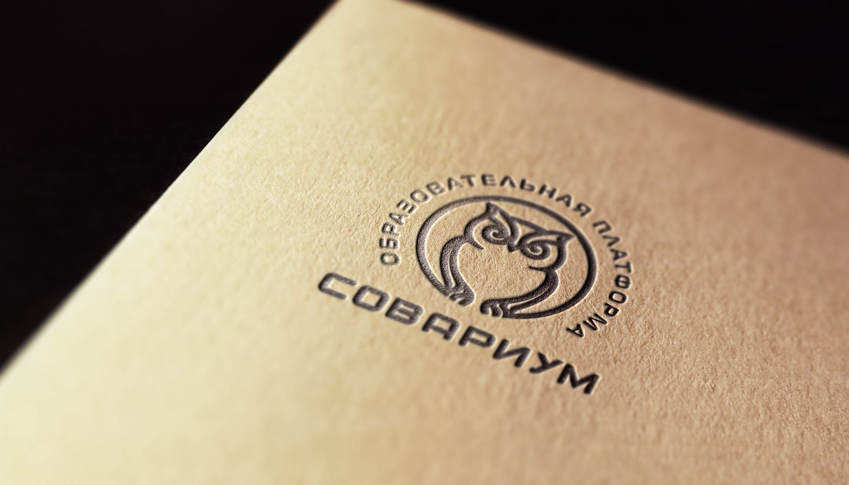 Логотип для Sovarium/Совариум - дизайнер andblin61