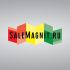 Логотип для SaleMagnit.ru - онлайн сервис печати магнитов - дизайнер Dr_Art