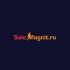 Логотип для SaleMagnit.ru - онлайн сервис печати магнитов - дизайнер SmolinDenis