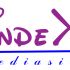 Логотип для INDEX mediasite - дизайнер vi1082