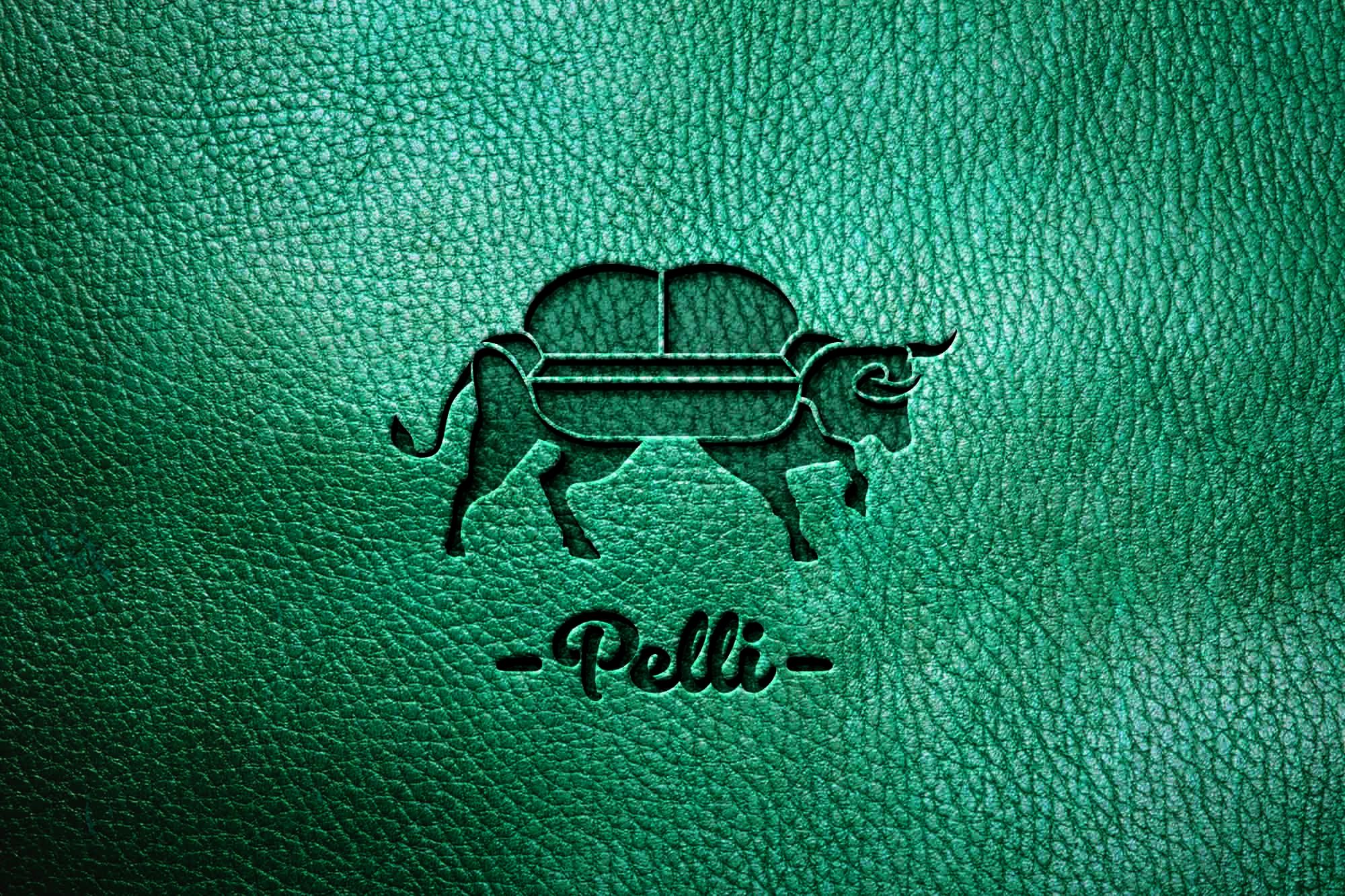 Логотип для PELLI (натуральная кожа для мебели) - дизайнер outsiderr