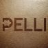 Логотип для PELLI (натуральная кожа для мебели) - дизайнер serz4868