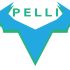 Логотип для PELLI (натуральная кожа для мебели) - дизайнер AlekshaVV