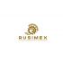 Логотип для RUSIMEX  - дизайнер SmolinDenis