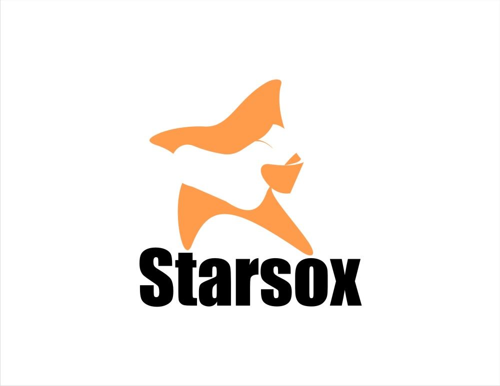 Лого и фирменный стиль для Starsox - дизайнер pilotdsn