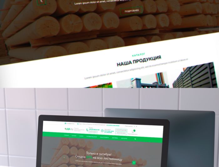 Веб-сайт для Интернет-магазин Dpk.by - дизайнер skip2mylow