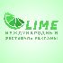 Логотип для Международный фестиваль рекламы LIME - дизайнер anded1939