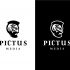 Логотип для PICTUS MEDIA - дизайнер ale2xus