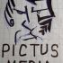 Логотип для PICTUS MEDIA - дизайнер FIRS84
