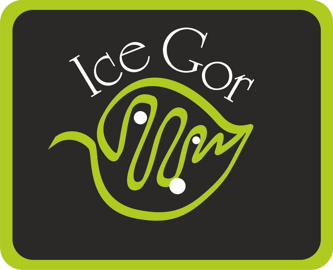 Логотип для IceGor; АйсГор. - дизайнер Io75