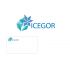Логотип для IceGor; АйсГор. - дизайнер ShuDen