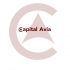 Логотип для Капитал Авиа, Capital Avia - дизайнер emillents23