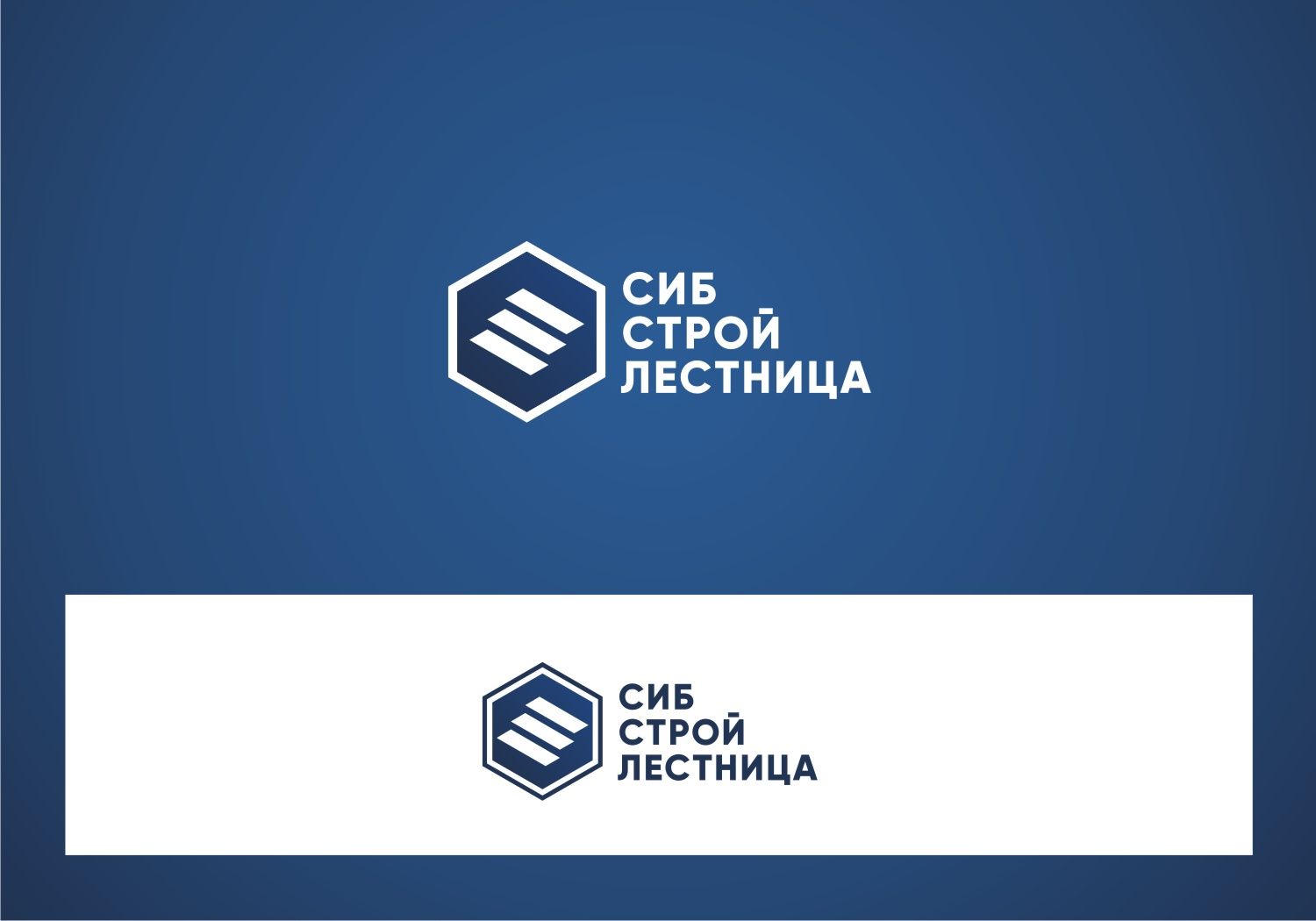 ФС по эскизу логотипа для 