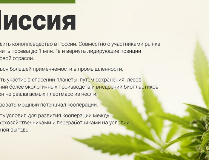 Презентация кооператива Hemp&Co - дизайнер OksanaHarbar