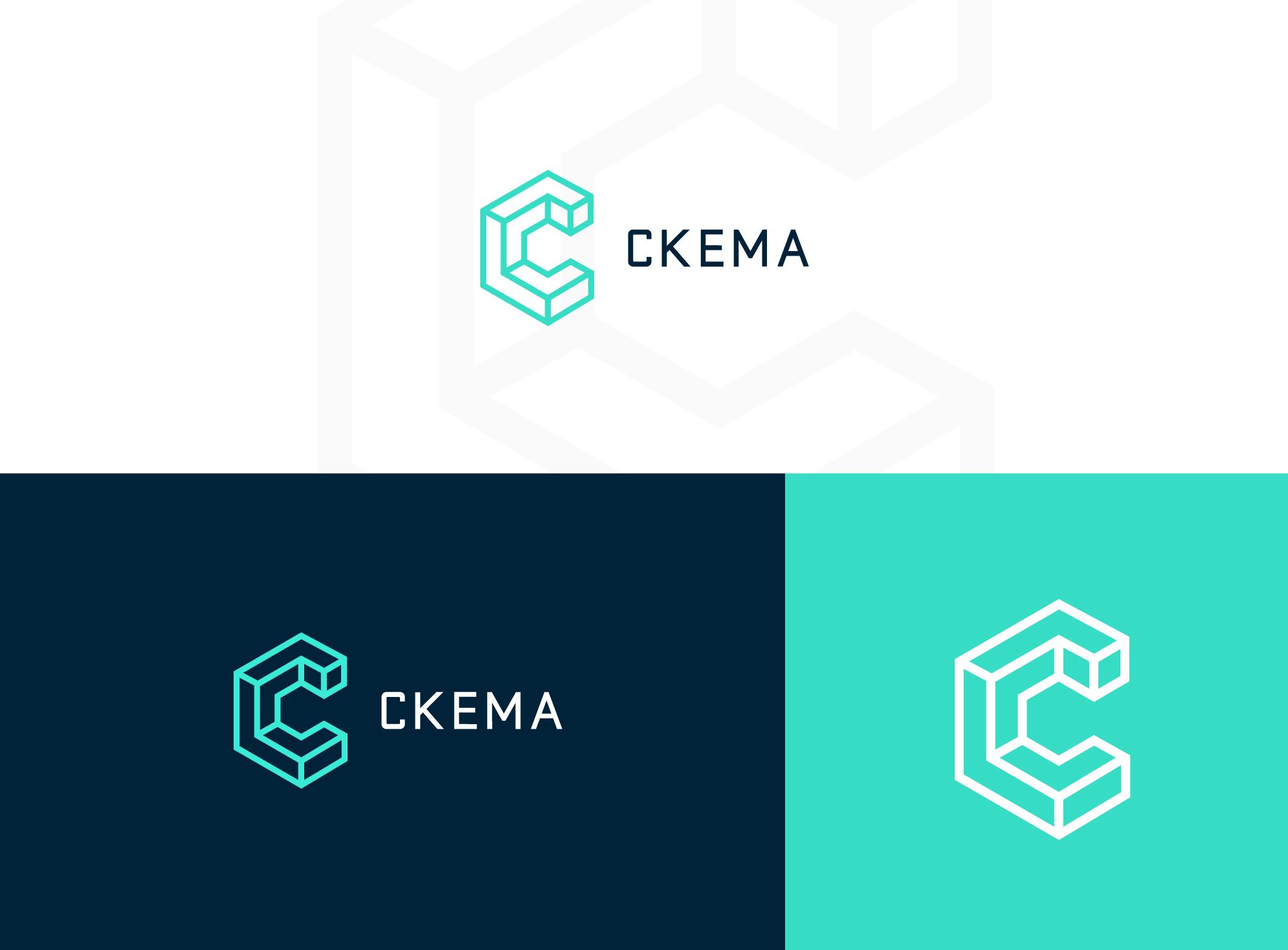 Логотип для СКЕМА - дизайнер Allepta