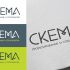 Логотип для СКЕМА - дизайнер kokker