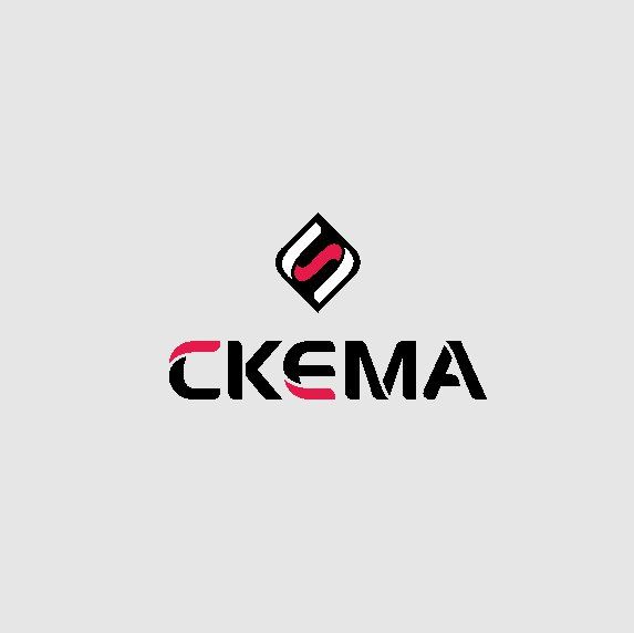 Логотип для СКЕМА - дизайнер salik