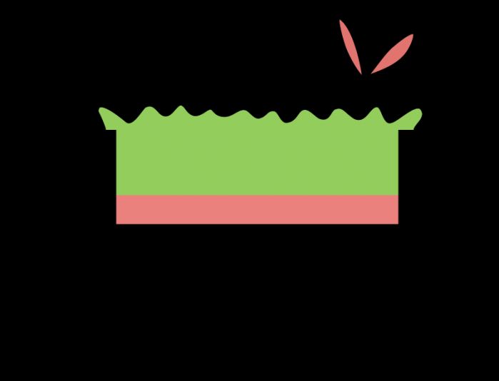 Логотип для Зеленка - дизайнер elaeagnus