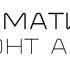 Логотип для АВТОМАТИКА - дизайнер AskOskar