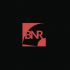 Логотип для Логотип BNR - дизайнер rromatt