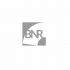 Логотип для Логотип BNR - дизайнер rromatt