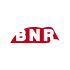 Логотип для Логотип BNR - дизайнер tskoy