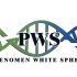 Логотип для PWS - PHENOMEN WHITE SPHERE  - дизайнер Mina