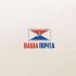 Логотип для Ваша Почта - дизайнер ilim1973