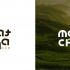 Лого и фирменный стиль для Matcha Bar - дизайнер Iceface
