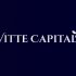 Лого и фирменный стиль для Логотип инвестиционного бутика Vitte Capital - дизайнер ria_ded