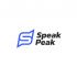 Лого и фирменный стиль для Speak Peak - дизайнер erkin84m