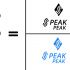 Лого и фирменный стиль для Speak Peak - дизайнер anna19