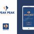 Лого и фирменный стиль для Speak Peak - дизайнер alexsem001